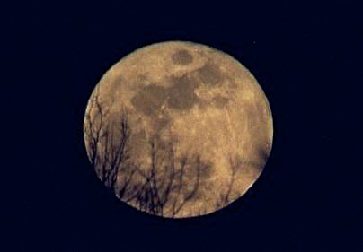 Blue Moon