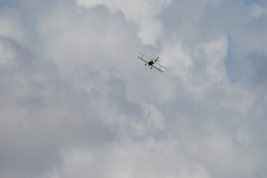 dsc_6761.jpg