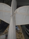 img_0799.jpeg