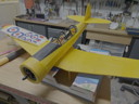 img_0800.jpeg