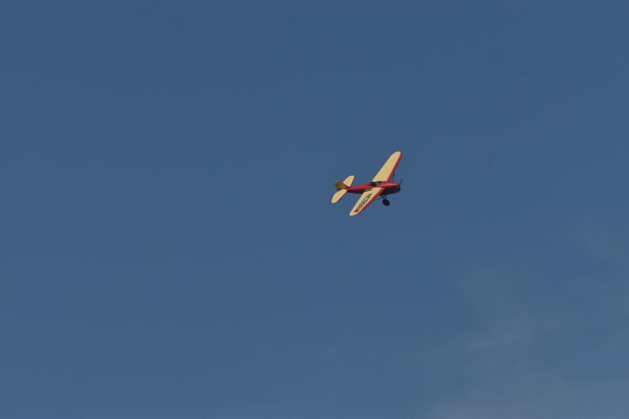 dsc_1293.jpg
