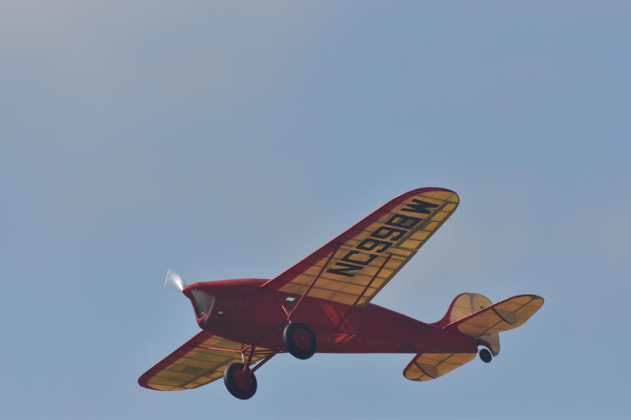 dsc_1311.jpg