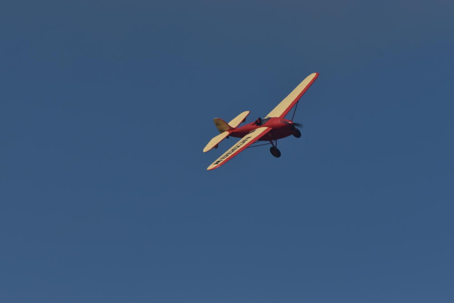 dsc_1353.jpg