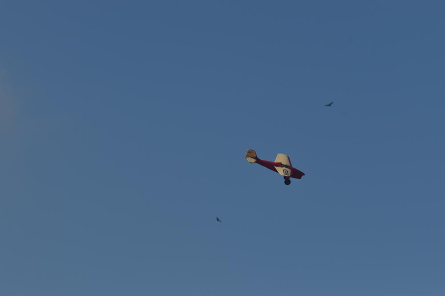 dsc_1404.jpg