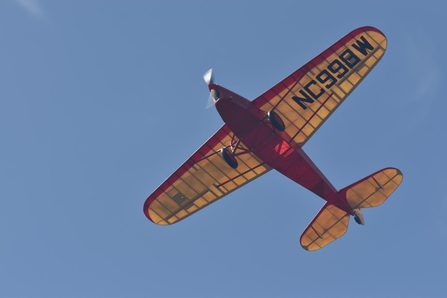 dsc_1441.jpg