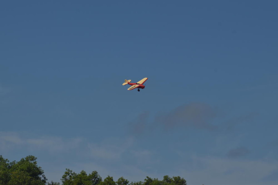 dsc_1446.jpg