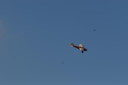 dsc_1404.jpg