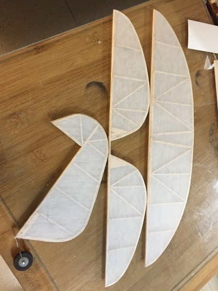 tail_covered_with_polyspan.jpg