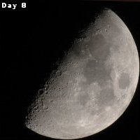 Day 3