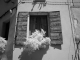 Avignon infrared