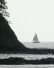 sailboat1
