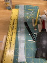 img_6957.jpeg