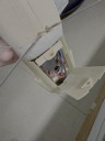 Click on thumbnail to enlarge IMG_1361.jpeg