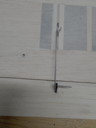 Click on thumbnail to enlarge IMG_1389.jpeg