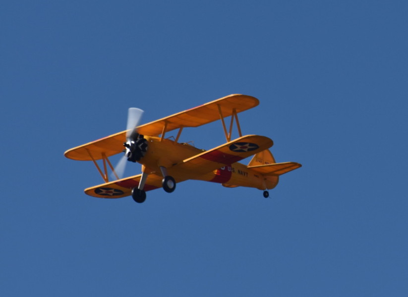 dsc_2395cr.jpg