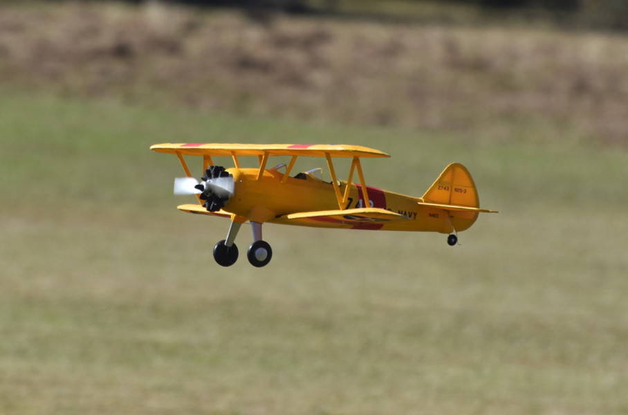 dsc_2406cr.jpg