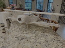 Click on thumbnail to enlarge img_0688.jpeg