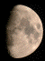 9.5-day moon